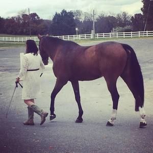 Meet your Posher, Lucy